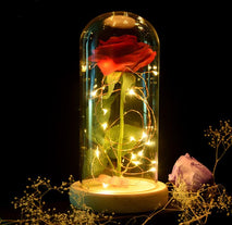 迷人的永遠玫瑰花玻璃 LED 燈聖誕裝飾